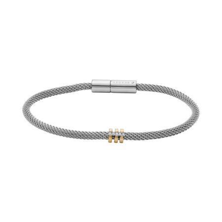 Skagen Kariana Two-Tone Stainless Steel Ladies` Bracelet