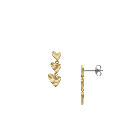Skagen    Ladies`  Earrings