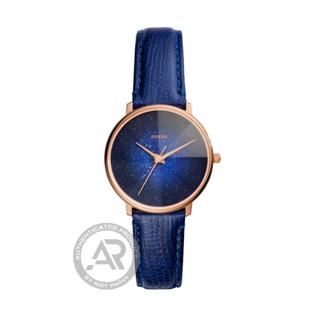 Fossil Prismatic Galaxy Ladies