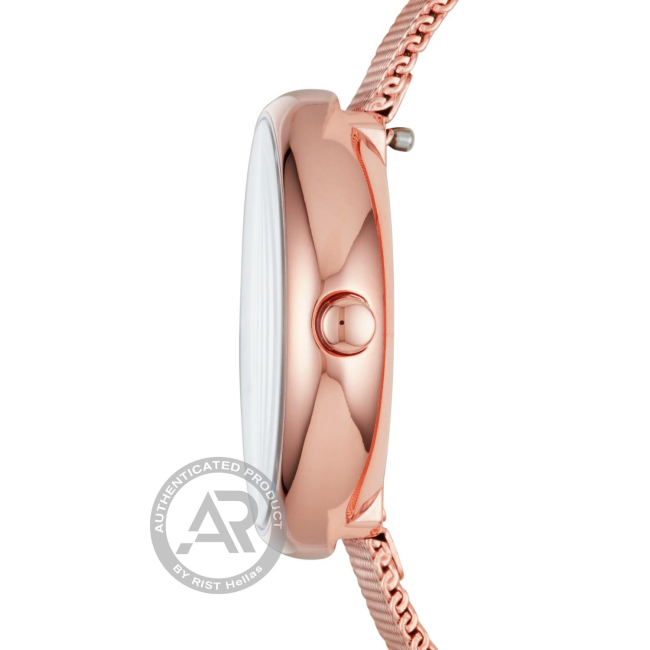 Skagen skw2593 best sale